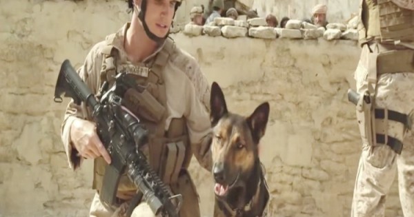 Max ,Η Αληθινή Ιστορία Του Ήρωα Σκύλου Πεζοναύτη Στο Αφγανιστάν (Video)