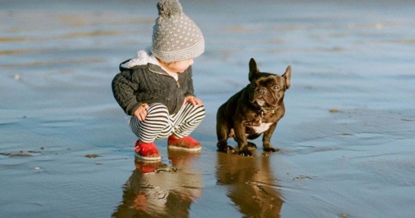 28 Φωτογραφίες που αποδεικνύουν ότι ο καλύτερος φίλος του μωρού είναι ένας σκύλος.