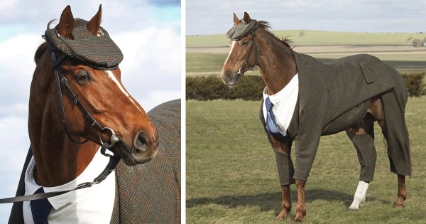 Βρετανικό πρακτορείο στοιχήματος έραψε κουστούμι για άλογο και το αποτέλεσμα είναι απολαυστικό! (Εικόνες)
