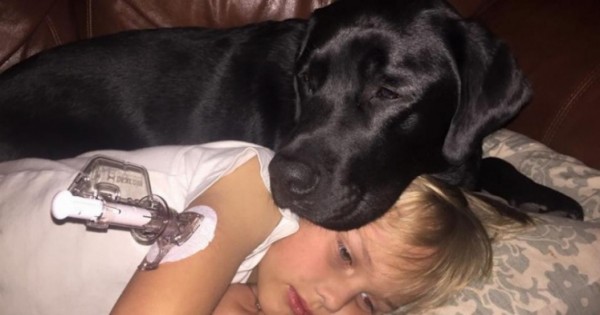 Ο Σκύλος της ήταν Ανήσυχος στη Μέση της Νύχτας. Όταν Έτρεξε στο γιο της, δεν Πίστευε στα Μάτια της! (Εικόνες)