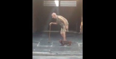 Ο πιο υπομονετικός σκύλος στον κόσμο (Βίντεο)