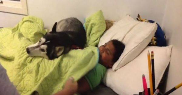 Προσπαθεί να ξυπνήσει το γιο της για να πάει σχολείο – Δείτε όμως τι κάνει ο σκύλος (ΒΙΝΤΕΟ)