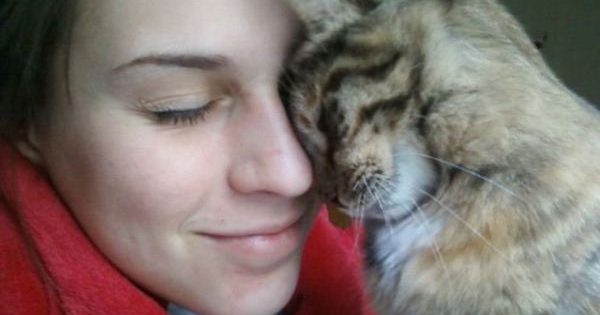 11 συμπεριφορές με τις οποίες οι γάτες μας εκφράζουν την αγάπη τους