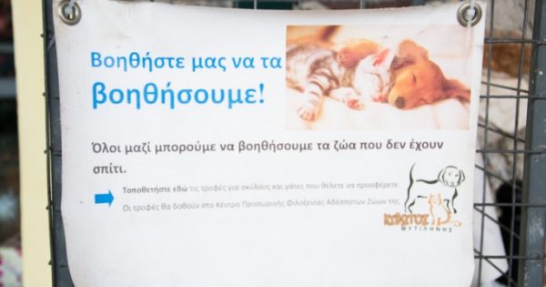 Τροφοσυλλέκτης για τα αδέσποτα της Λέσβου στο σούπερ μάρκετ «Βερόπουλος»
