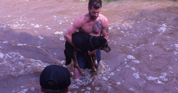 Ένας άγνωστος έπεσε χωρίς δεύτερη σκέψη στα νερά του ποταμού για να σώσει τον σκύλο μου!