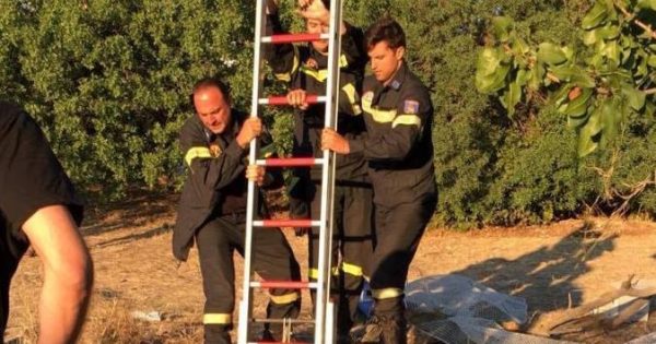 Πυροσβέστες έσωσαν το γατάκι που έπεσε σε πηγάδι στο Νέο Ψυχικό Αττικής