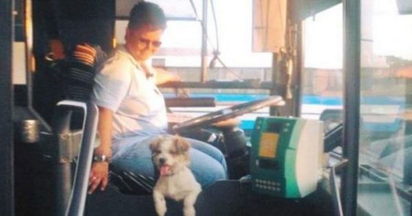 Η οδηγός ΚΤΕΛ που δουλεύει παρέα με το σκυλάκι της