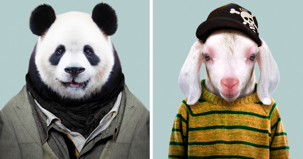 Καλλιτέχνης πέρασε 3 χρόνια ντύνοντας τα πλάσματα του ζωολογικού κήπου σαν ανθρώπους