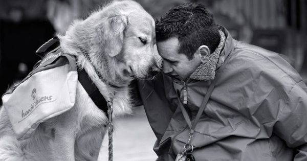 Άνθρωπος και σκύλος , μια αιώνια σχέση αγάπης