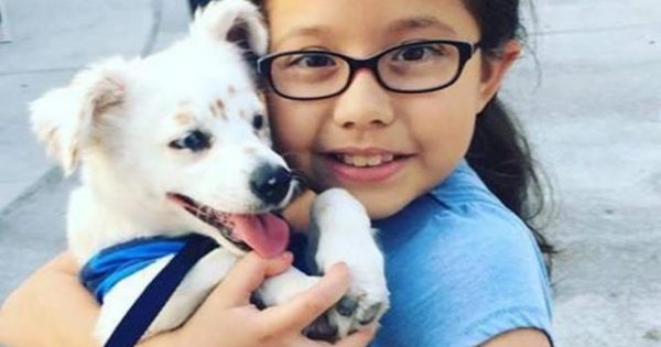 Συγκινητικό: Κοριτσάκι δίδαξε νοηματική στο σκυλάκι της για να επικοινωνούν (Video)
