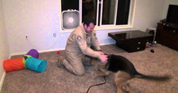 Αυτός ο άντρας έλειπε για μήνες στο στρατό – Δείτε την αντίδραση του σκύλου του όταν επέστρεψε (video)