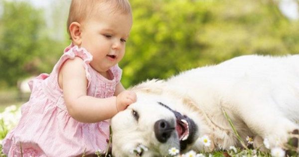 Τα παιδιά που αγαπούν τα ζώα γίνονται καλύτεροι άνθρωποι