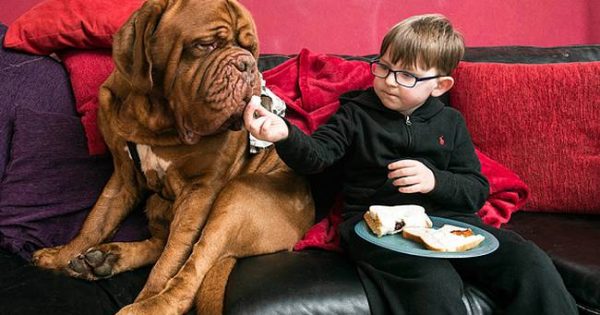 Πώς ο σκύλος μιας οικογένειας έσωσε την όραση του παιδιού τους