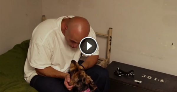 Έβαλαν έναν σκύλο στο κελί ενός φυλακισμένου και άρχισαν να βιντεοσκοπούν. Δείτε το βίντεο που έχει συγκλονίσει τον πλανήτη!