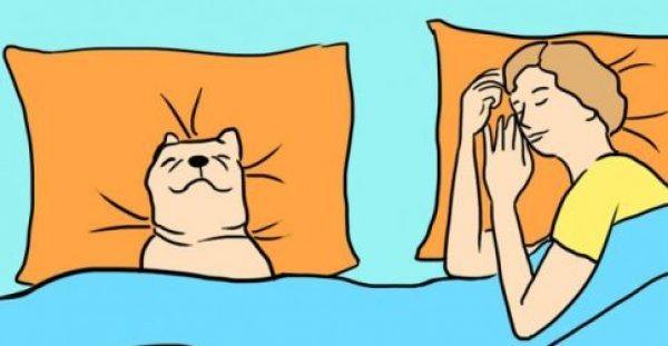7 λόγοι που ο σκύλος σας πρέπει να κοιμάται στο ίδιο κρεβάτι με εσάς