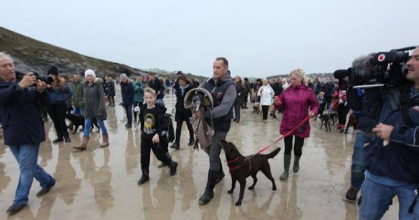 Συγκινητικός αποχαιρετισμός εκατοντάδων ανθρώπων σε παραλία για σκύλο που θα πέθαινε σε 2 ώρες!