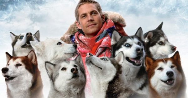 Η αληθινή ιστορία με τα σκυλιά χάσκι που εγκατέλειψαν τα μέλη επιστημονικής αποστολής στην Ανταρτική. Κατάφεραν να επιβιώσουν επί ένα χρόνο στην χιονοθύελλα και έγιναν ταινία από την Ντίσνεϋ…