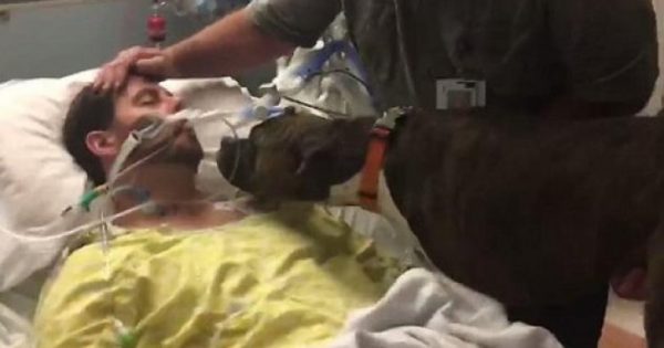 Ραγίζει καρδιές! Σκύλος αποχαιρετά το αφεντικό του που πεθαίνει! (video)