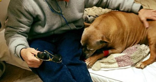 Άστεγος άντρας αδυνατεί να πληρώσει για την νοσηλεία του ηλικιωμένου του σκύλου