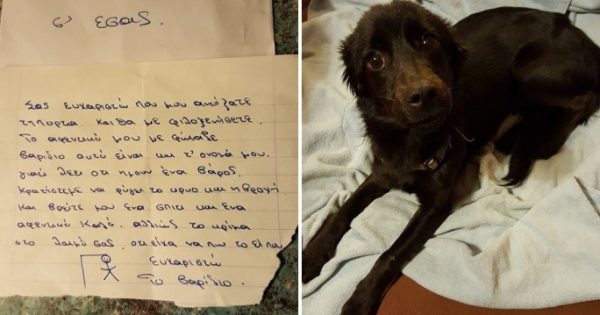 Υιοθετήθηκε ο εγκαταλελειμμένος σκυλάκος που ο «ιδιοκτήτης» του τον χαρακτήριζε σε σημείωμα ως βαρίδιο