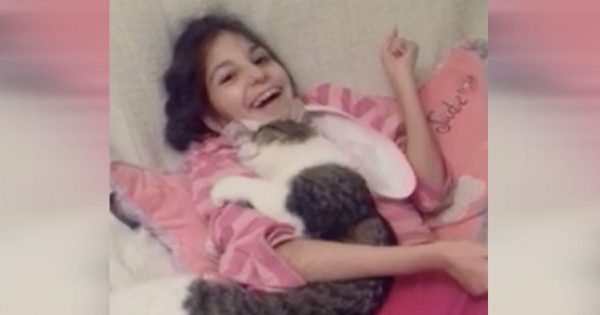 Κανείς δεν ήθελε να υιοθετήσει αυτή τη γάτα από το καταφύγιο που την φρόντιζε, μέχρι που συνάντησε ένα μικρό κορίτσι με ειδικές ανάγκες