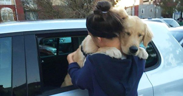 13 τρυφερές φωτογραφίες με σκύλους που αγκαλιάζουν τους ιδιοκτήτες τους και θα σας λιώσουν την καρδιά