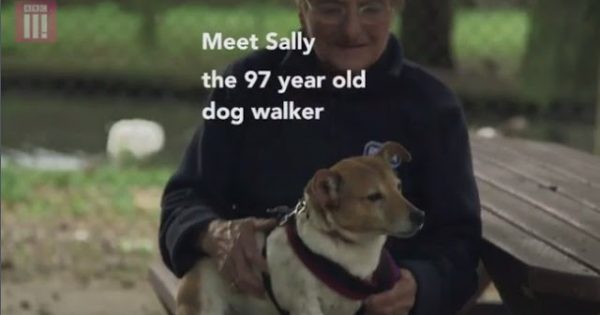 Βίντεο: 97χρονη βγάζει καθημερινά βόλτα 10 σκύλους!