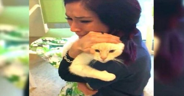Έψαχνε τον γάτο της για δύο ολόκληρα χρόνια! Η επιμονή της την δικαίωσε! (VIDEO)