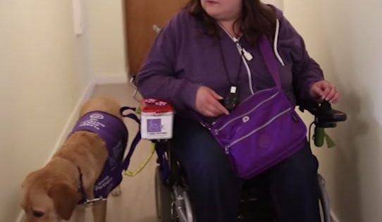 Aπίστευτο: Πως ένας σκύλος βοηθάει μια ανάπηρη γυναίκα κάνοντας της την ζωή της πιο εύκολη!