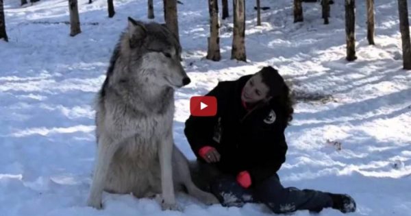 Aναπάντεχη φιλία ενός άγριου ζώου και ενός ανθρώπου (βίντεο)