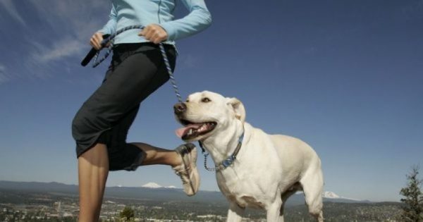 Οι κατάλληλες ράτσες σκύλου για αφεντικά που… τρέχουν!