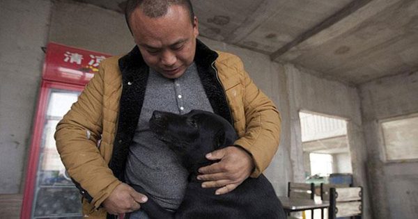 Εκατομμυριούχος χάνει τον αγαπημένο του σκύλο και σώζει περισσότερα από 2000 αδέσποτα σκυλιά στη μνήμη του