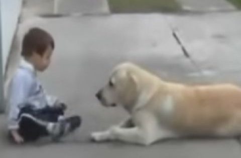 Σκύλος πλησιάζει παιδάκι με σύνδρομο Down και μας χαρίζει ένα από τα πιο συγκινητικά βίντεο όλων των εποχών