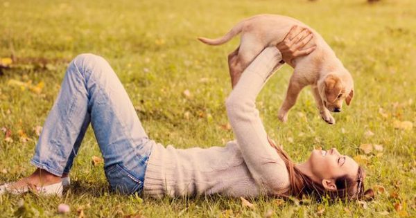 Τι είναι η ωκυτοκίνη και πως επηρεάζει τη σχέση με τον σκύλο μας