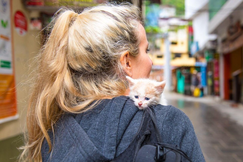 Γυναίκα που κάνει τις διακοπές της βρίσκει γατάκι που λιμοκτονεί και το παίρνει μαζί της στην επιστροφή γατί γάτες γατάκι 