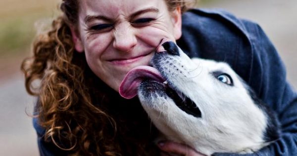Οι επιστήμονες εξηγούν που οφείλεται η αγάπη μας για τους σκύλους