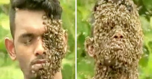 Νεαρός αφήνει 60.000 μέλισσες να… αράξουν στο κεφάλι του