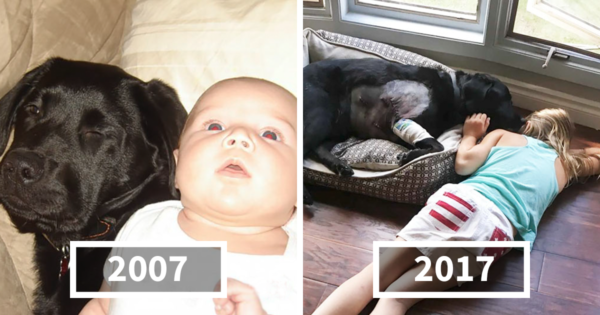 Όλοι την προειδοποιούσαν να μην πάρει σκύλο στο νεογέννητο μωρό της, αλλά αυτή δεν τους άκουσε. 10 χρόνια αργότερα…