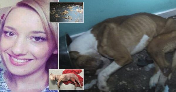 Διαβολική ιδιοκτήτρια ασύλου ζώων που βασάνιζε τα ζώα με τον πιο αρρωστημένο τρόπο καταδικάζεται σε 7 μήνες φυλάκιση