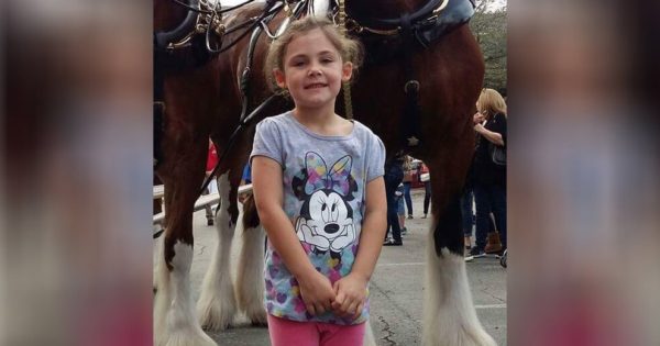 Το μικρό κορίτσι ποζάρει με ένα άλογο και όλοι ξεσπάνε σε γέλια. Ο λόγος; Για κοιτάξτε λίγο καλύτερα τη φωτογραφία!