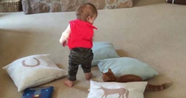 To χαριτωμένο μωρό που εκτόπισε τη γάτα και βρέθηκε…στον αέρα! (βίντεο)