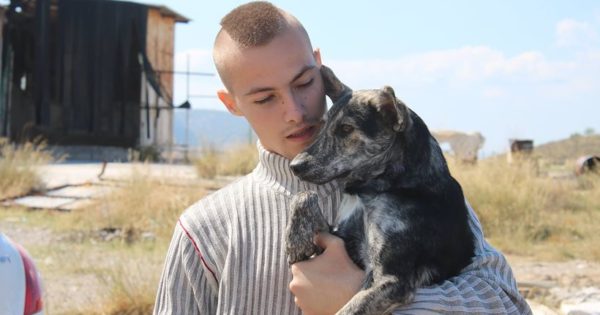 Greek Animal Rescue: Τα αδέσποτα σκυλιά της Αθήνας μέσα από ένα συγκλονιστικό ντοκιμαντέρ