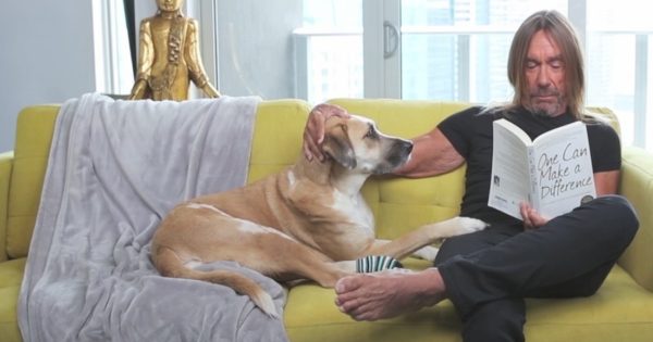 Βίντεο: Ο Iggy Pop γίνεται σούπερ ήρωας των ζώων στο νέο σποτ της PETA