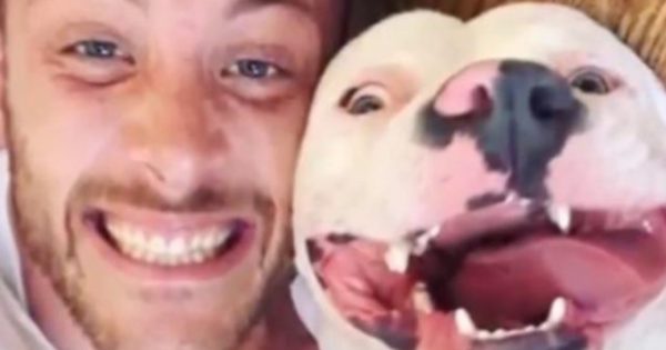Ανέβασε φωτογραφία με τον σκύλο του στο Facebook και κάποιος κάλεσε την Αστυνομία – Δείτε γιατί (βίντεο)