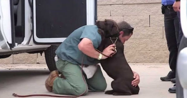 Κρατούμενος μεγάλωσε αυτόν το σκύλο μέσα στη φυλακή- Δείτε τι έγινε όταν τον αποχαιρέτησε (video)