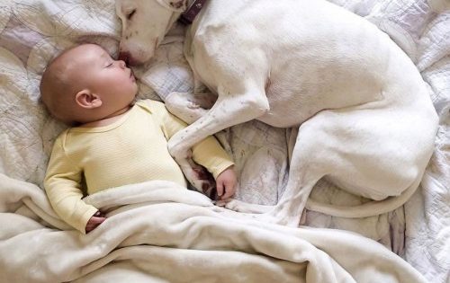 Νόρα: Η κακοποιημένη σκυλίτσα που έτρεμε τους πάντες εκτός από το μωρό αυτό
