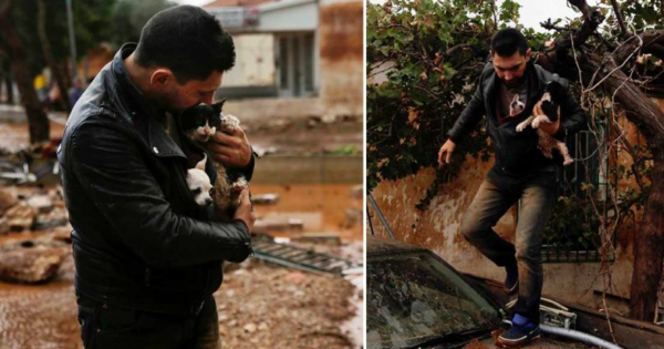 Κάτοικος σώζει γατάκι και σκυλάκι για να μην πνίγουν στις πλημμύρες στην Δ. Αττική