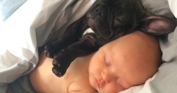 Το μωρό και ο σκύλος της γεννήθηκαν την ίδια ημέρα, τα δυο μικρά πιστεύουν πως είναι αδέλφια και κάνουν τα πάντα μαζί