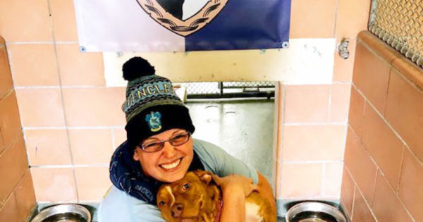Καταφύγιο ζώων ξεχωρίζει τα σκυλιά του με βάση τους οίκους από τις ταινίες Harry Potter