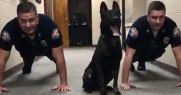 Viral ο σκύλος της αστυνομίας που κάνει push ups μαζί με… τους συναδέλφους του!